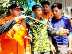 Modus Keji di Tamil Nadu: Sewa Ular Berbisa untuk Habisi Nyawa Ayah Demi Klaim 11 Polis Asuransi