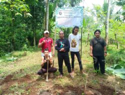 Yayasan Keluarga Besar Trah Wisesa Gelar Kegiatan Bersih Lahan dan Penanaman Pohon