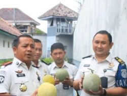 Lapas Kelas IIA Banyuwangi menunjukkan komitmen nyata dalam mendukung program ketahanan pangan pemanfaatan lahan produktif di area terbatas