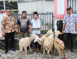 Dinas Pertanian Salurkan Bantuan Ternak untuk Warga Terdampak Bencana di Pulosari.