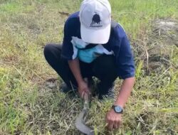 DPUPR Pemalang “Gaskeun” Aksi Indonesia Asri, Pastikan Stadion Jatidiri Nyaman Bagi Warga