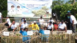Peringati Hari Lingkungan Hidup, Pemkab Pemalang Tanam 3.000 Mangrove di Pesisir Ulujami